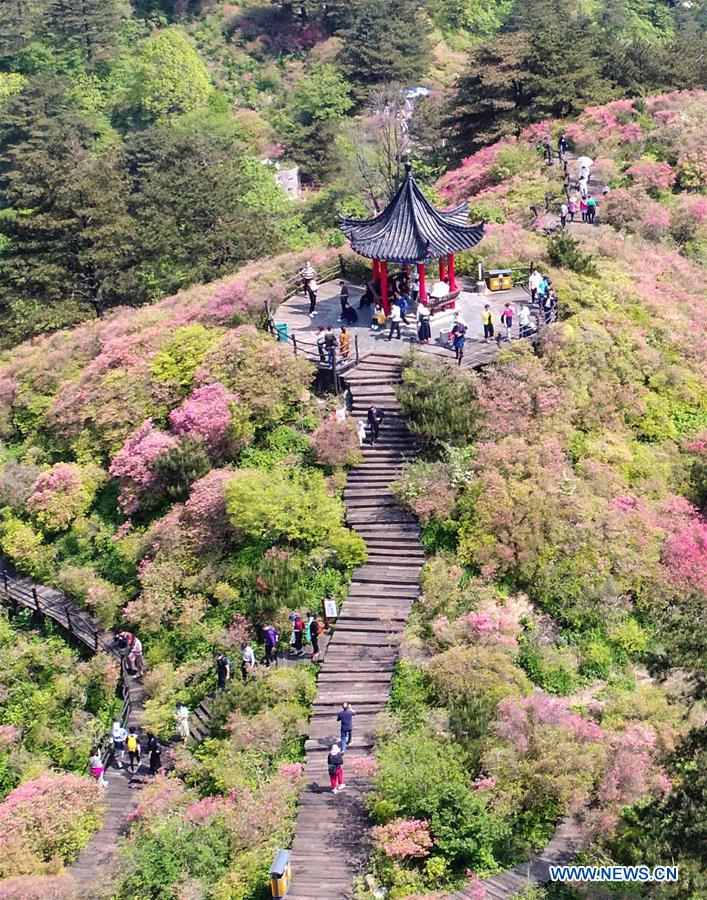 CHINA-HUBEI-MACHENG-SCENERY-AZALEA (CN)