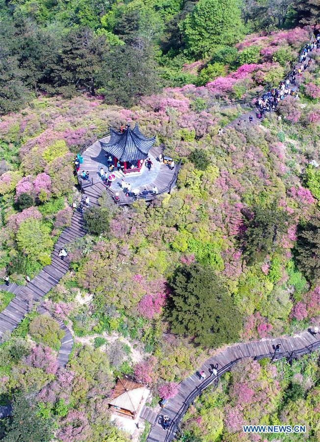 CHINA-HUBEI-MACHENG-SCENERY-AZALEA (CN)