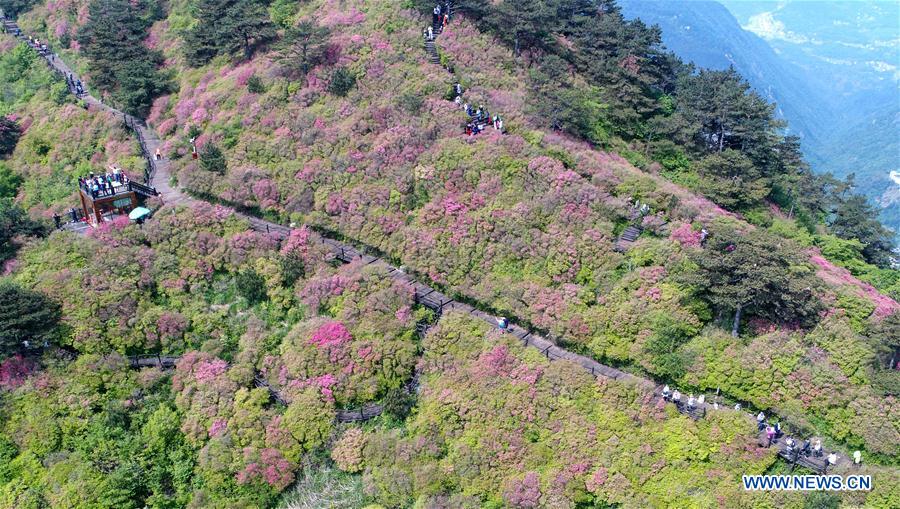 CHINA-HUBEI-MACHENG-SCENERY-AZALEA (CN)