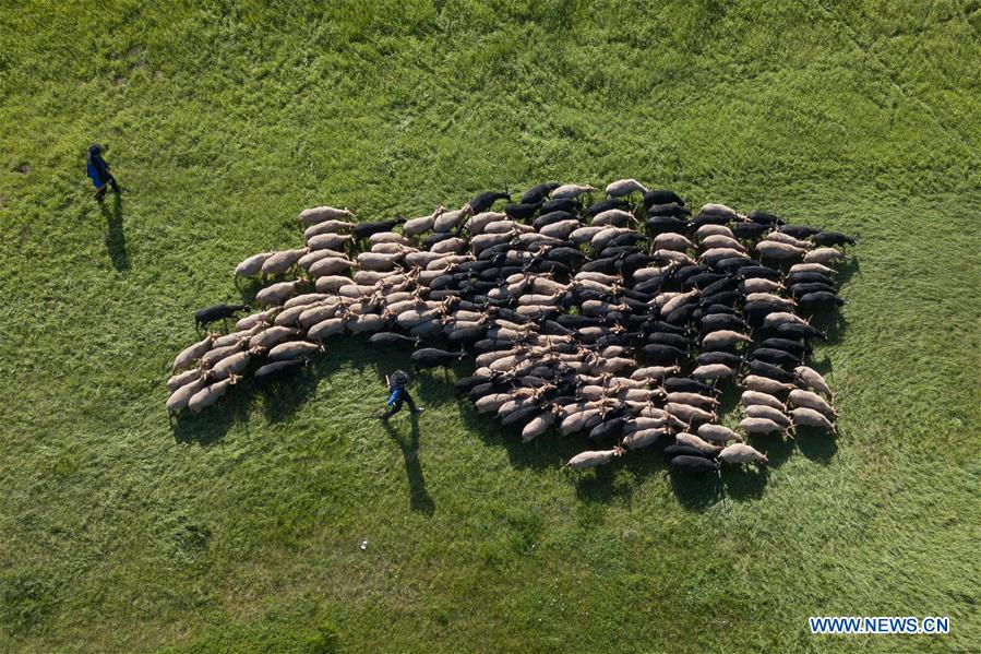 HUNGARY-HORTOBAGY-NEW GRAZING SEASON