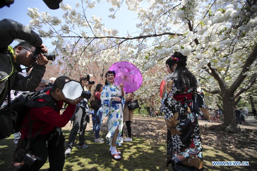 U.S.-NEW YORK-CHERRY BLOSSOM FESTIVAL