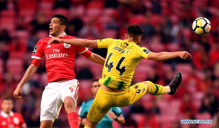 (SP)PORTUGAL-LISBON-SOCCER-BENFICA-TONDELA