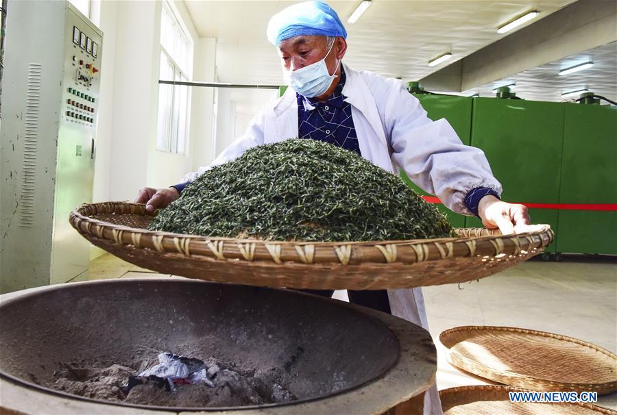 CHINA-HENAN-TEA GARDEN-POVERTY ALLEVIATION(CN)