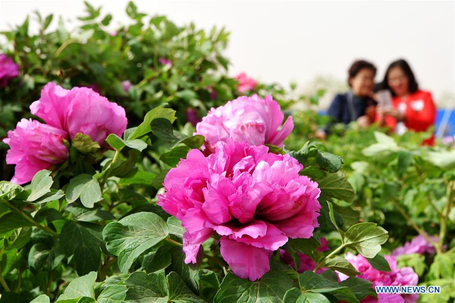 #CHINA-LABOR DAY HOLIDAY-TOURISM (CN)