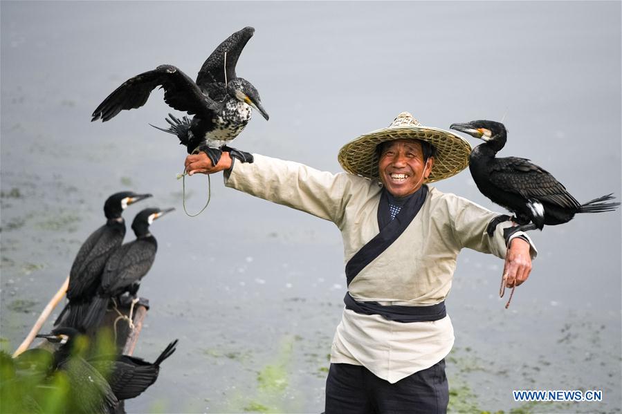 CHINA-ANHUI-CORMORANT-FISHING-HOLIDAY (CN)