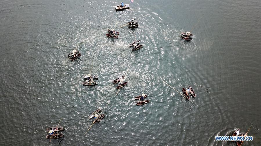 CHINA-ANHUI-CORMORANT-FISHING-HOLIDAY (CN)