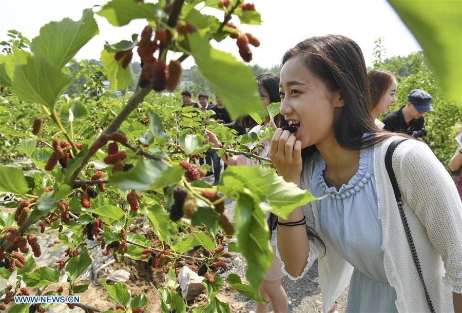 CHINA-HENAN-XINYANG-TOURISM (CN)