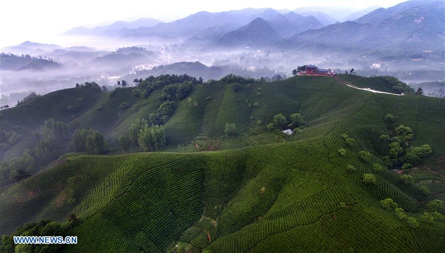 CHINA-HENAN-XINYANG-TOURISM (CN)