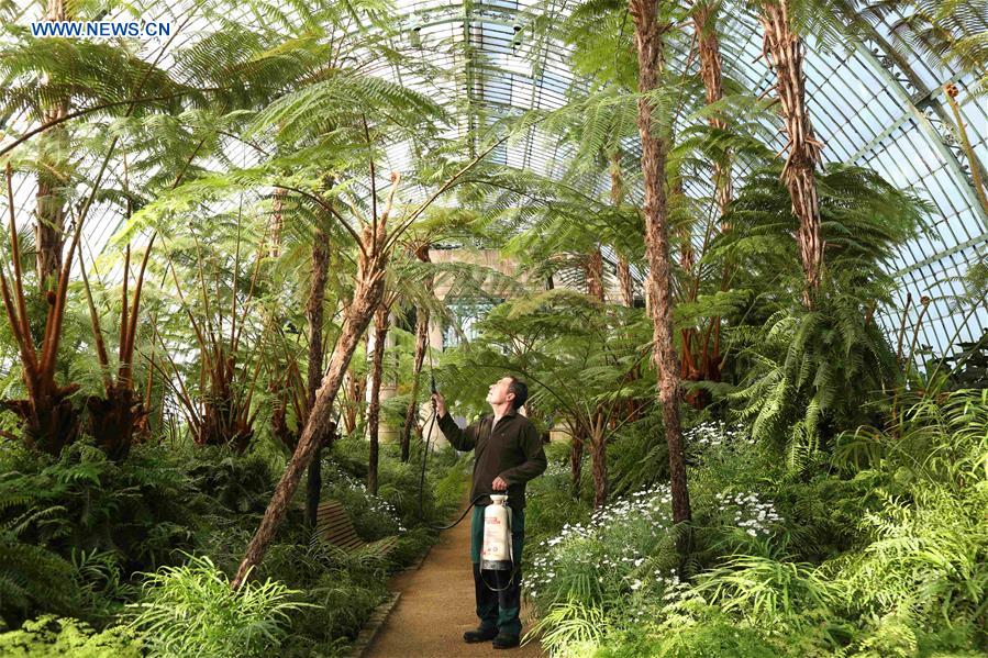 BELGIUM-BRUSSELS-ROYAL GREENHOUSES OF LAEKEN-OPENING