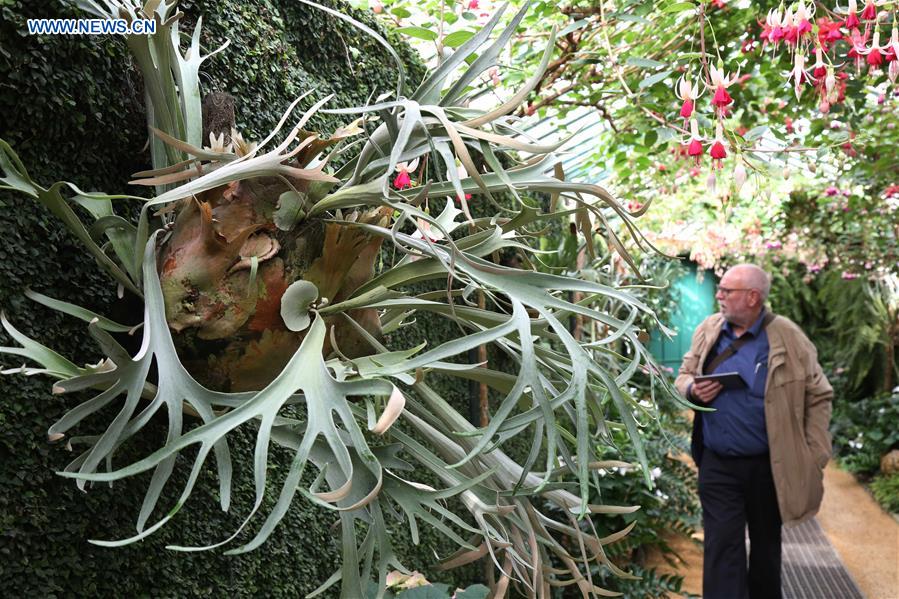 BELGIUM-BRUSSELS-ROYAL GREENHOUSES OF LAEKEN-OPENING
