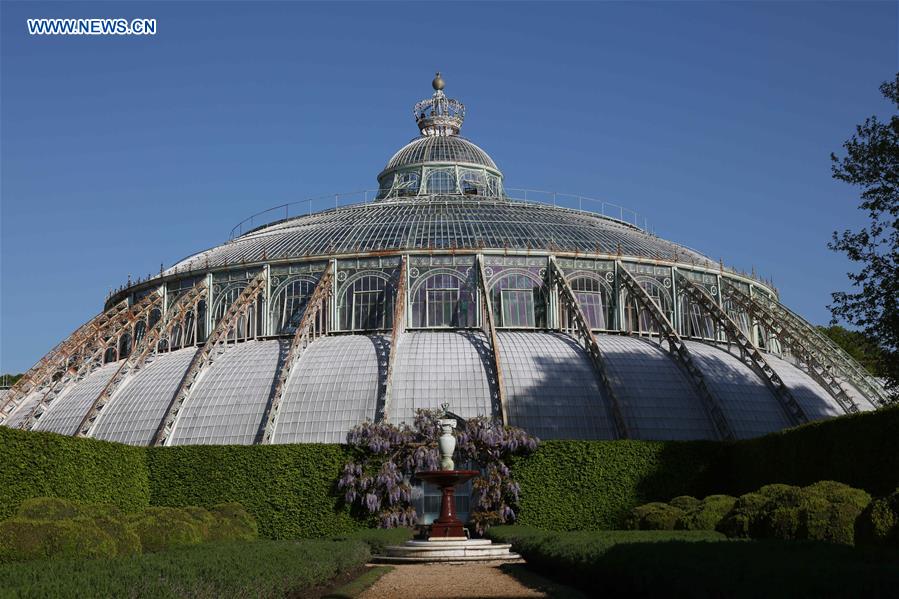 BELGIUM-BRUSSELS-ROYAL GREENHOUSES OF LAEKEN-OPENING