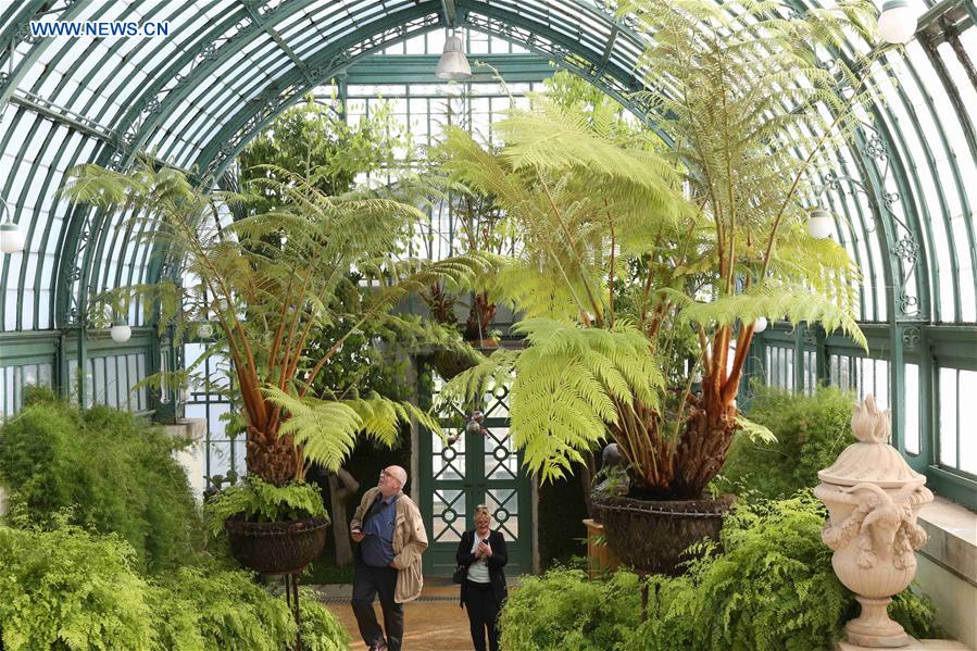BELGIUM-BRUSSELS-ROYAL GREENHOUSES OF LAEKEN-OPENING