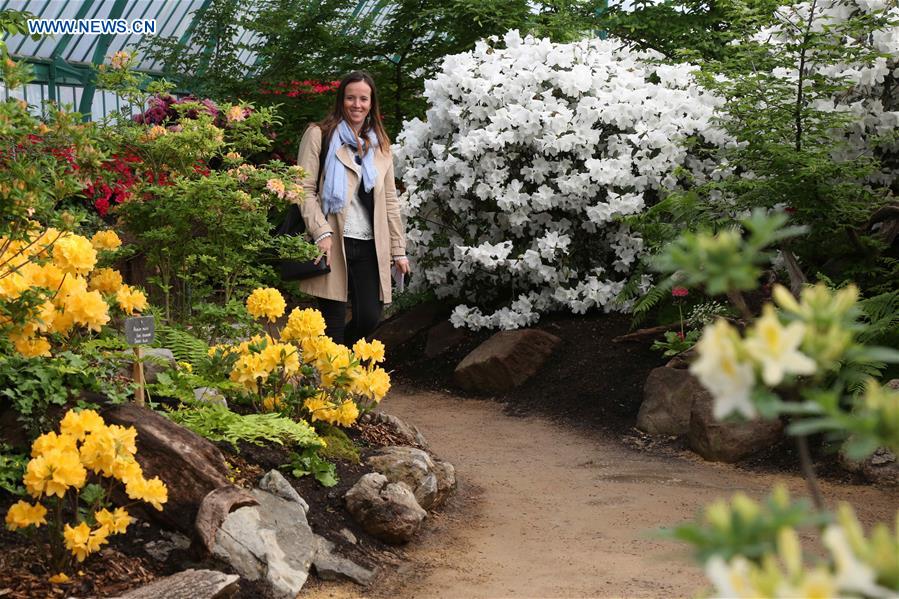 BELGIUM-BRUSSELS-ROYAL GREENHOUSES OF LAEKEN-OPENING