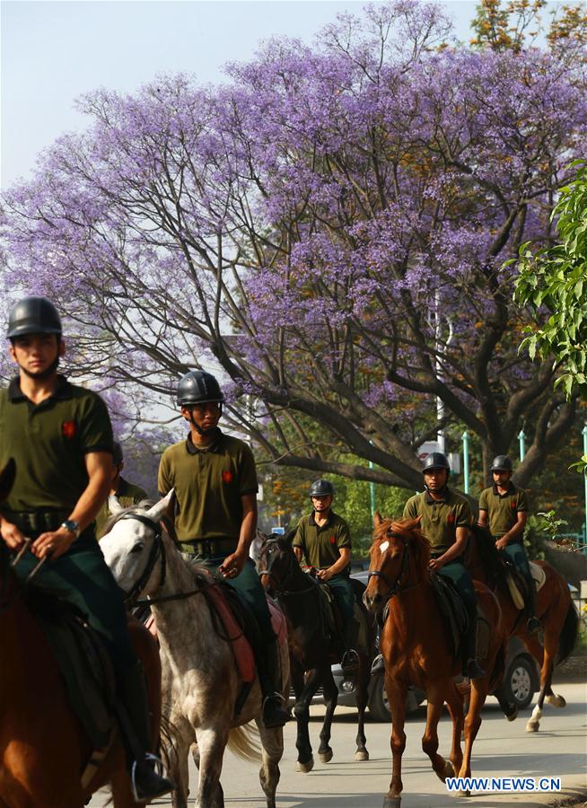 NEPAL-KATHMANDU-BLOSSOMING