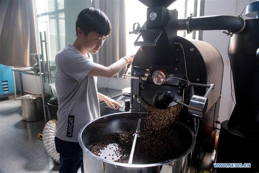 CHINA-YUNNAN-AGRICULTURE-BUSINESS-COFFEE (CN)