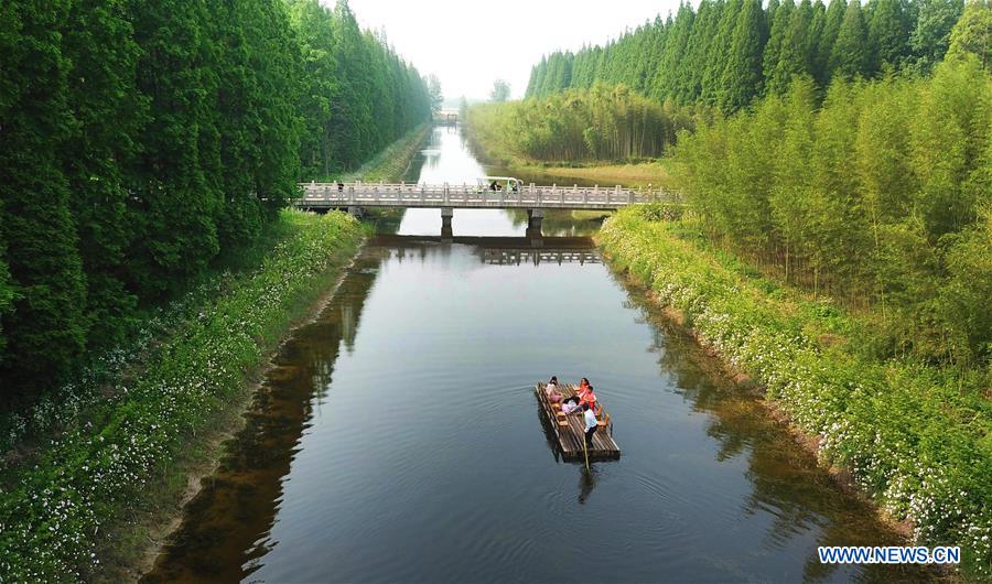 #CHINA-JIANGSU-FOREST-PARK-SCENERY (CN)