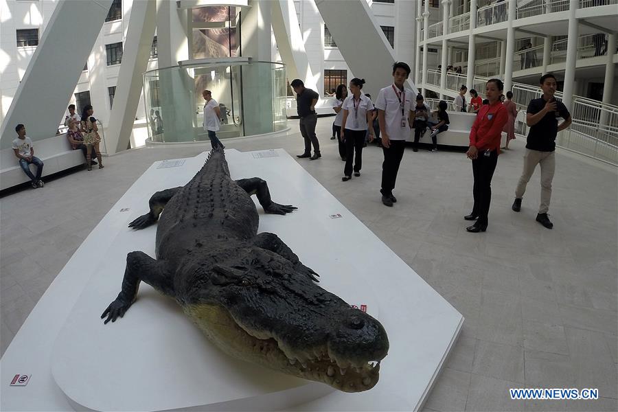 PHILIPPINES-MANILA-INTERNATIONAL MUSEUM DAY