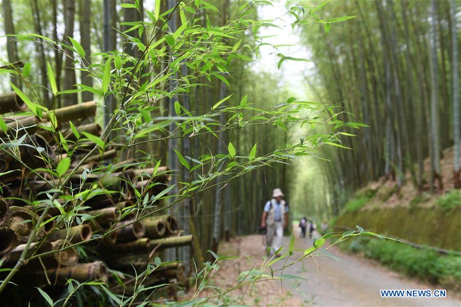 CHINA-NANTOU-BAMBOO CRAFTSMEN(CN)