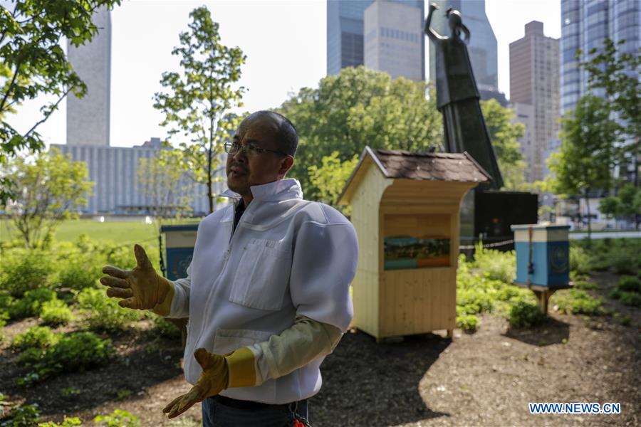 UN-WORLD BEE DAY-CELEBRATION