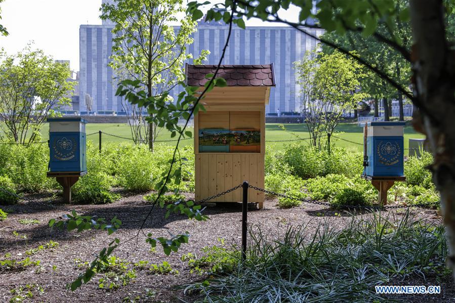 UN-WORLD BEE DAY-CELEBRATION