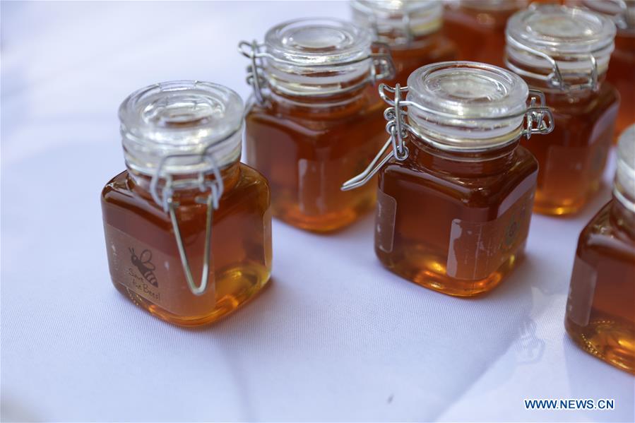 UN-WORLD BEE DAY-CELEBRATION