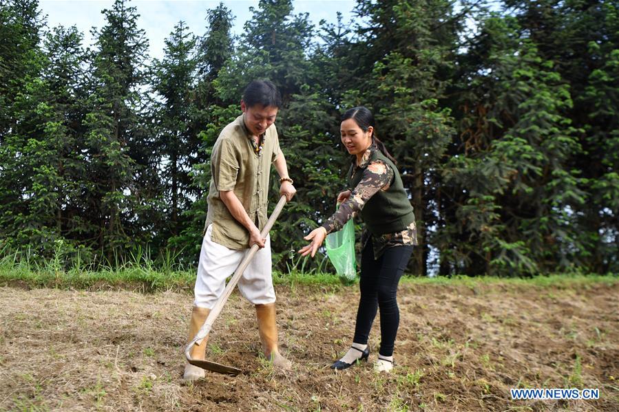 #CHINA-HUNAN-ZIQUEJIE TERRACED FIELDS-FARM STAY (CN*)