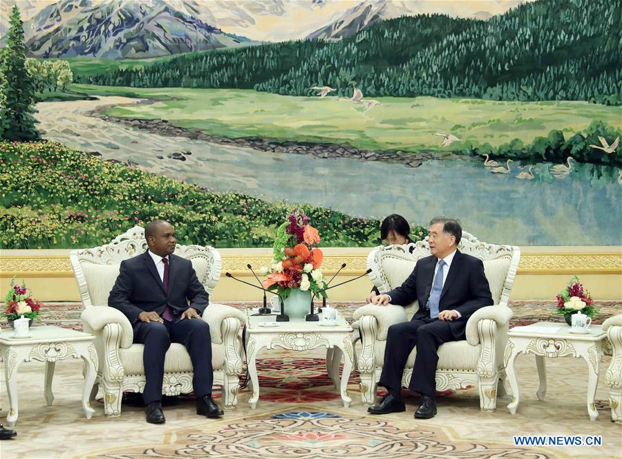 CHINA-BEIJING-WANG YANG-BURKINA FASO-MEETING (CN)