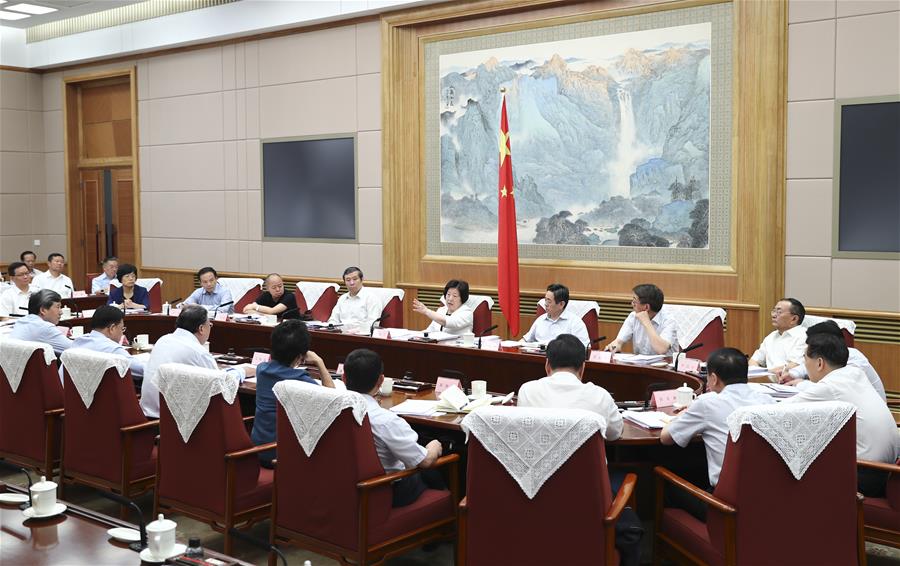 CHINA-BEIJING-SUN CHUNLAN-MEETING (CN)