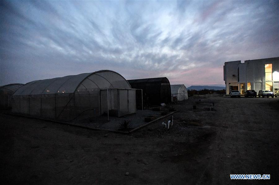 CHILE-RENGO-AGRICULTURE-VIRTUAL ASSISTANT