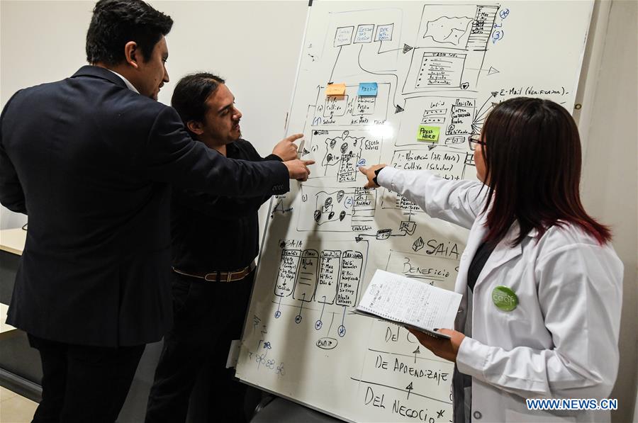 CHILE-RENGO-AGRICULTURE-VIRTUAL ASSISTANT