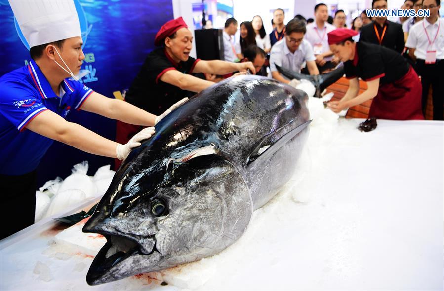 CHINA-FUJIAN-FISHERY EXPO (CN)