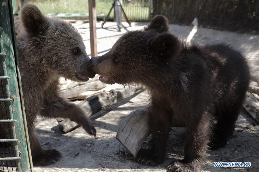 GREECE-ENVIRONMENT-WILDLIFE SANCTUARY
