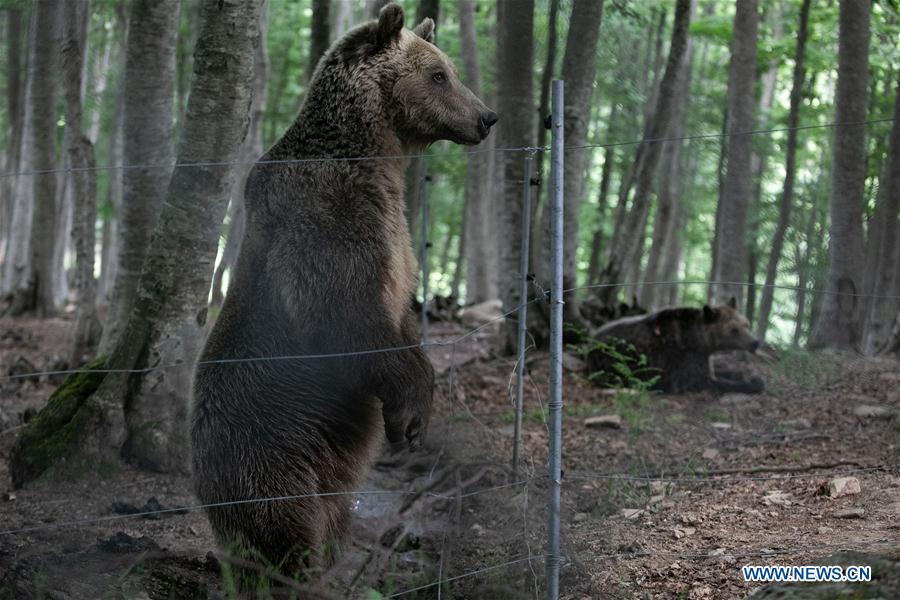 GREECE-ENVIRONMENT-WILDLIFE SANCTUARY