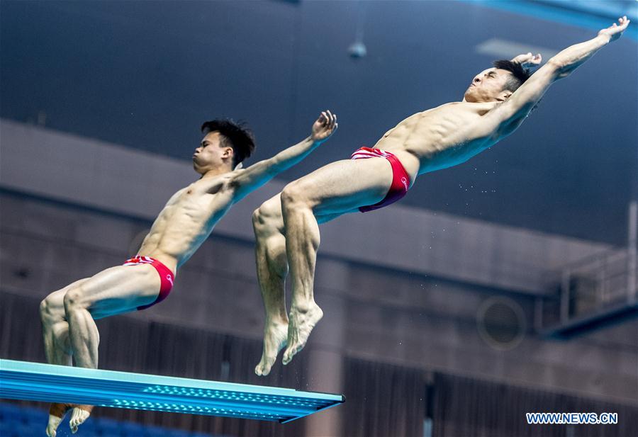 (SP)CHINA-WUHAN-DIVING-FINA-WORLD CUP (CN)