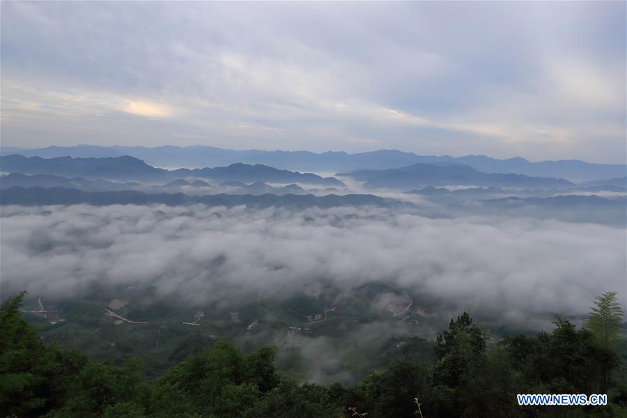 CHINA-SICHUAN-CHANGNING-BAMBOO FORESTS-CLOUDS (CN)