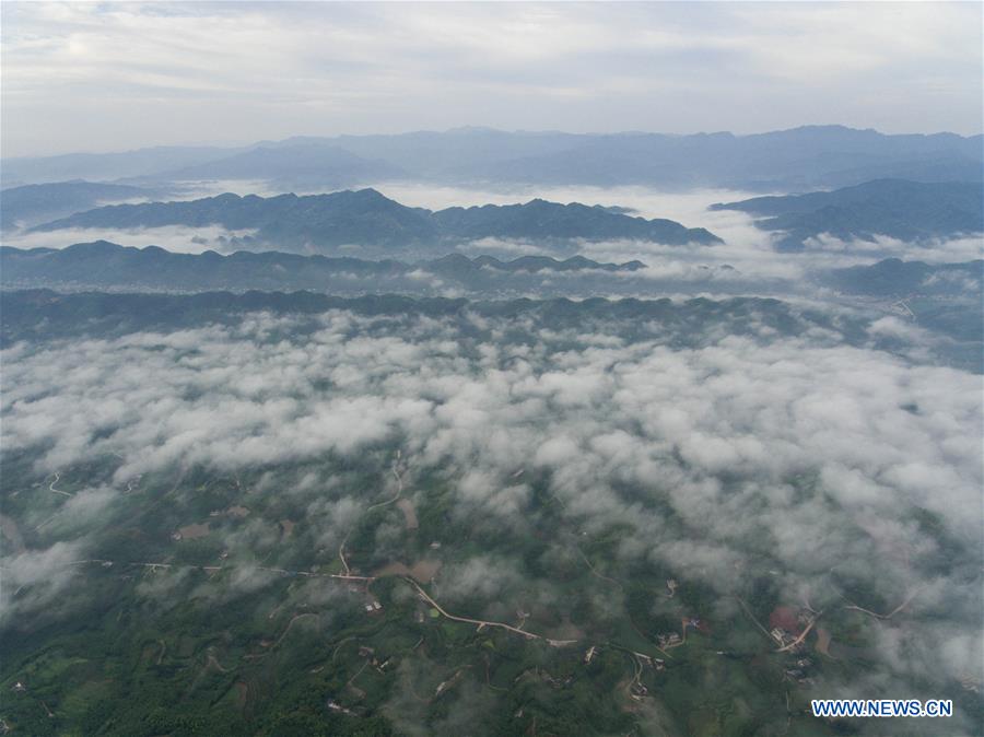 CHINA-SICHUAN-CHANGNING-BAMBOO FORESTS-CLOUDS (CN)