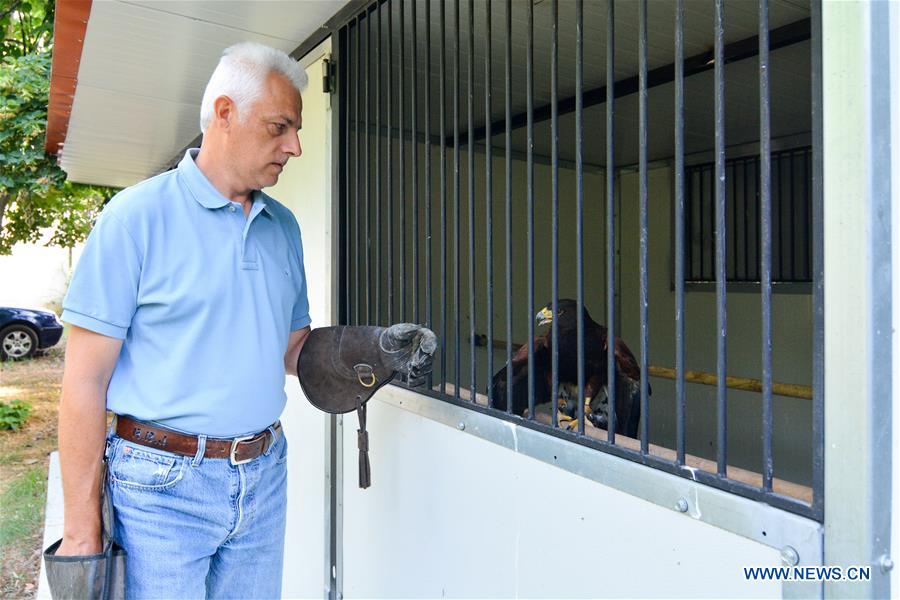 GREECE-LARISSA-HAWK TRAINING