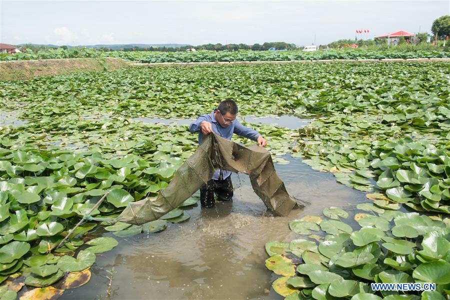 CHINA-ZHEJIANG-SHENGZHOU-TOURISM(CN)