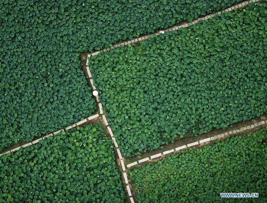 CHINA-ZHEJIANG-SHENGZHOU-TOURISM(CN)