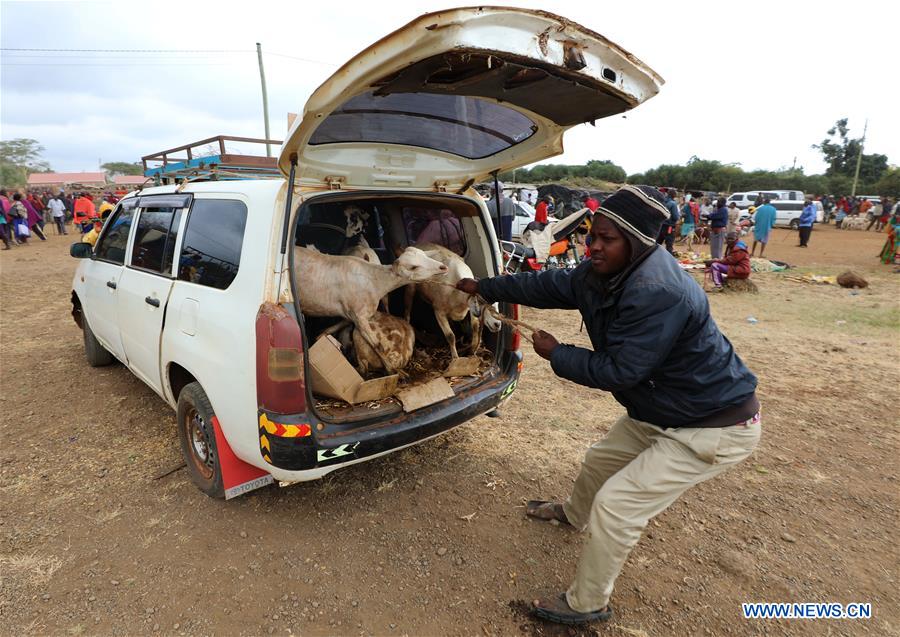 KENYA-MAASAI-LIVESTOCK-MARKET
