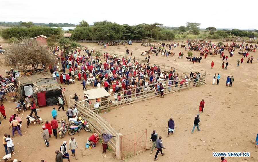 KENYA-MAASAI-LIVESTOCK-MARKET