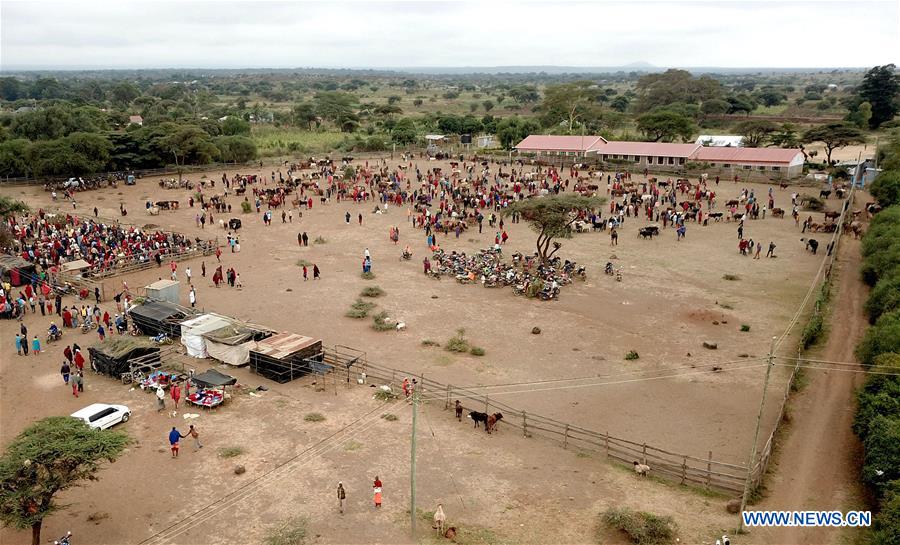 KENYA-MAASAI-LIVESTOCK-MARKET