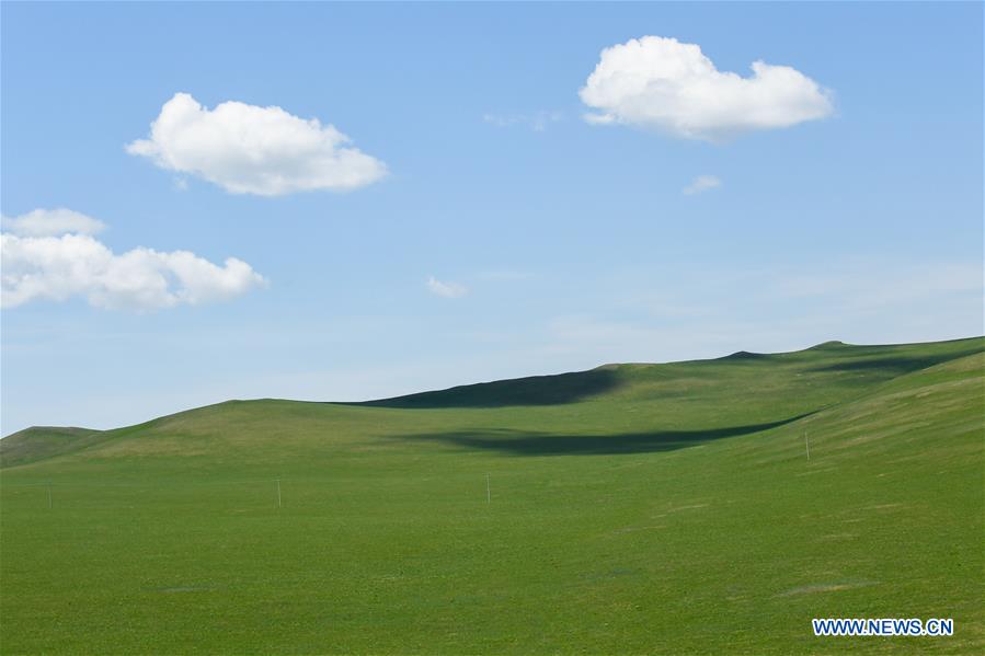 CHINA-INNER MONGOLIA-HULUNBUIR GRASSLAND-NATURE (CN)
