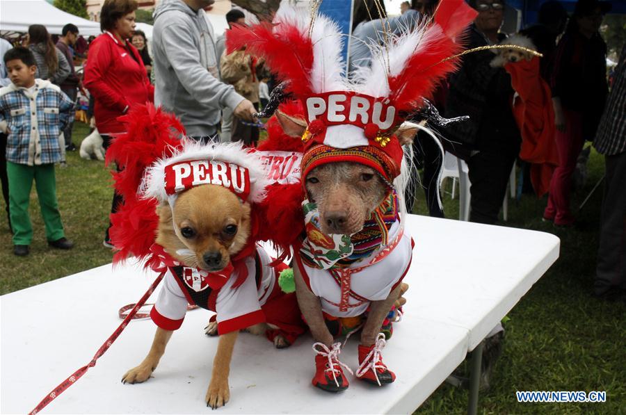 PERU-LIMA-PET EVENT