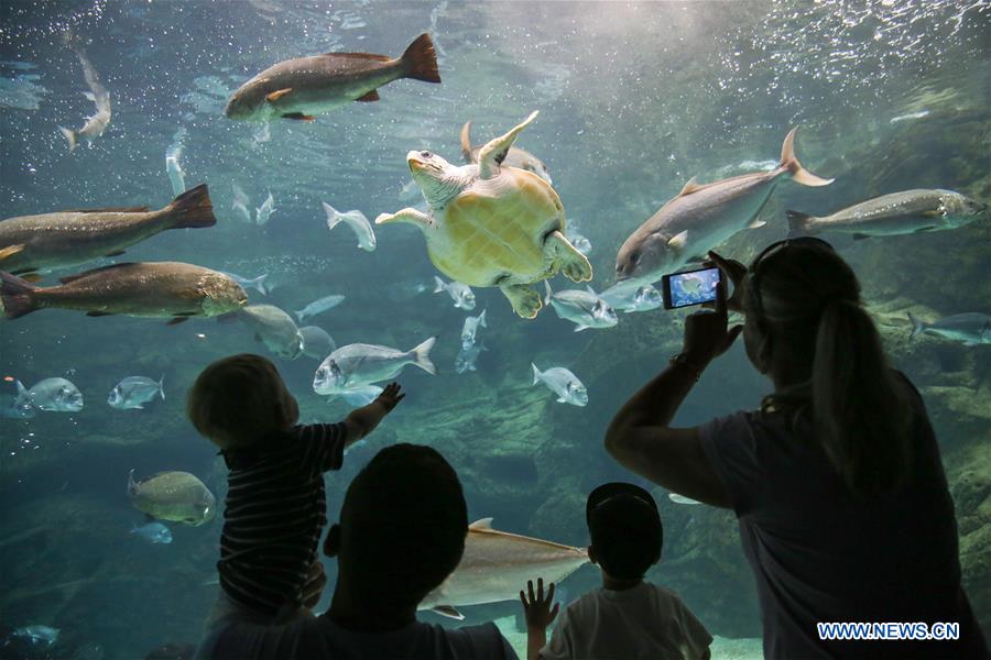 GREECE-CRETE-AQUARIUM