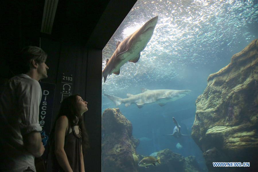 GREECE-CRETE-AQUARIUM