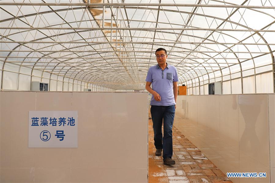 CHINA-NINGXIA-SHAPOTOU-DESERT CONTROL(CN)