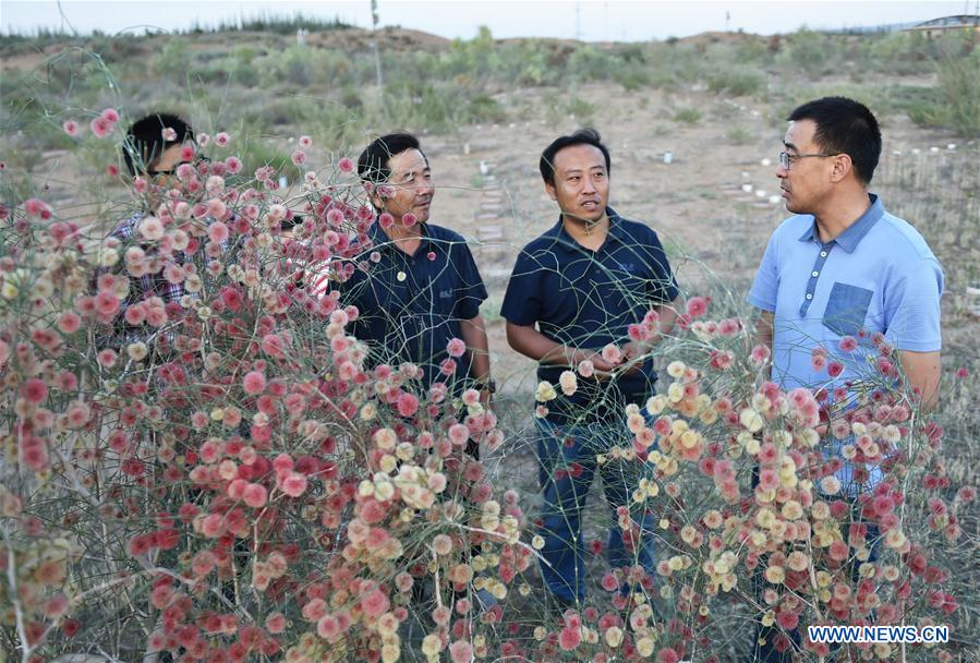 CHINA-NINGXIA-SHAPOTOU-DESERT CONTROL(CN)