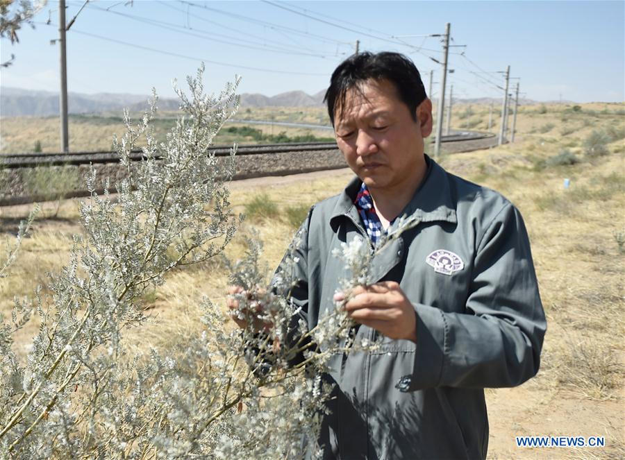 CHINA-NINGXIA-SHAPOTOU-DESERT CONTROL(CN)