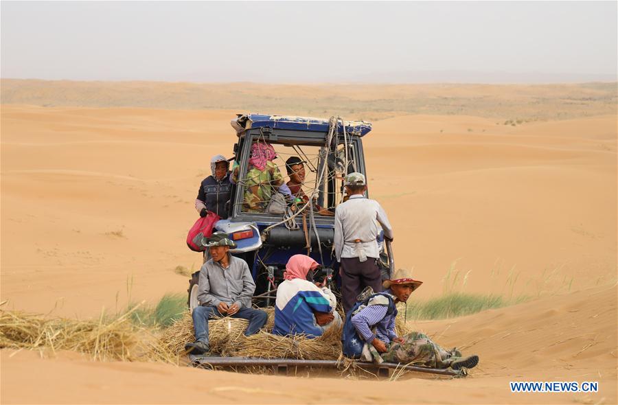 CHINA-NINGXIA-SHAPOTOU-DESERT CONTROL(CN)